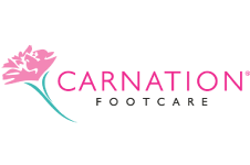 Carnation Carnation